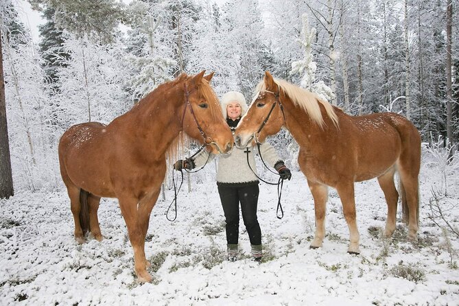 Private Sleigh Ride With Finnhorse - Additional Information