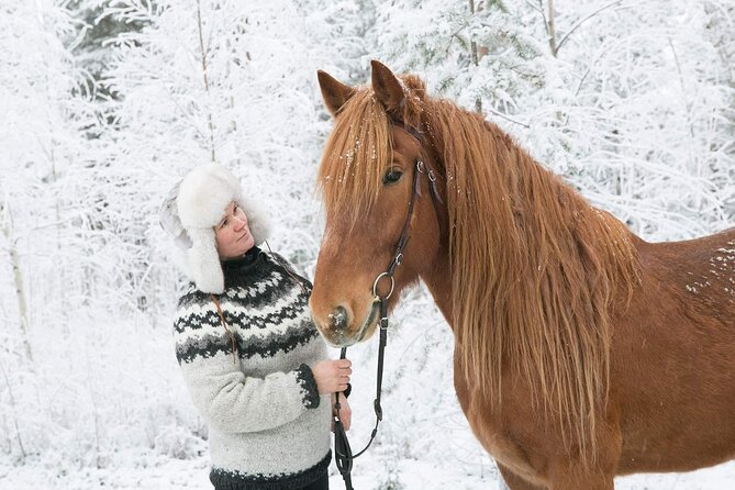 Private Sleigh Ride With Finnhorse - Customer Reviews
