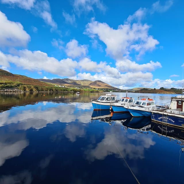 Private Slieve League & Donegal Day Tour - Who Will Appreciate This Tour?