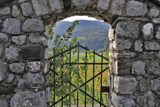 Private Small Group Full Day Tour- Montserrat and Cava Visit With Lunch and Transportation - Guided Cava Tasting