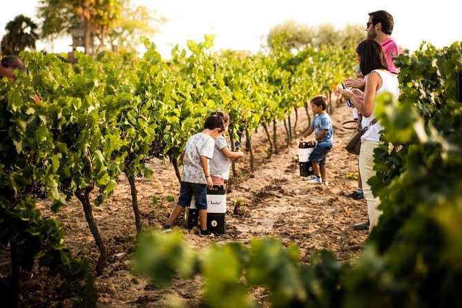 Private Small Group Full Day Tour- Montserrat and Cava Visit With Lunch and Transportation - The Sum Up