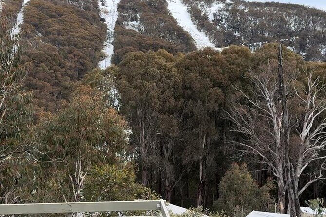 Private Small Group Snow and Ski Tour to Mt Buller - Final Thoughts