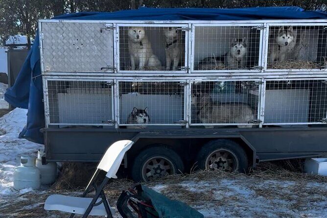 Private Small Group Snow and Ski Tour to Mt Buller - FAQs