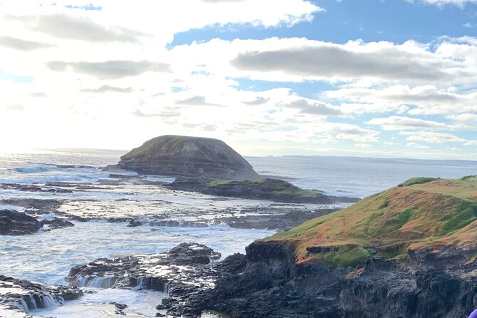 Private Small Group Tour of 2-4pax in Great Ocean Road Melbourne - Meeting and Pickup