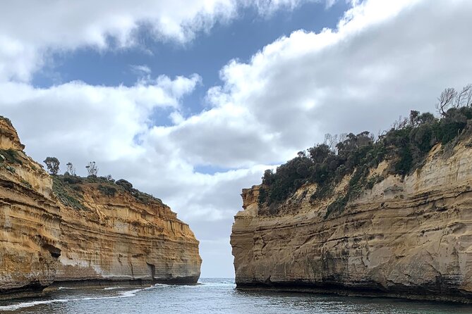 Private Small Group Tour of 2-4pax in Great Ocean Road Melbourne - Questions and Assistance
