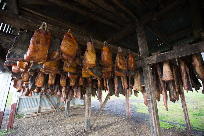 Private Snaefellsnes Peninsula With All the Beautiful Stops - Explore the Majestic Snæfellsnes Glacier