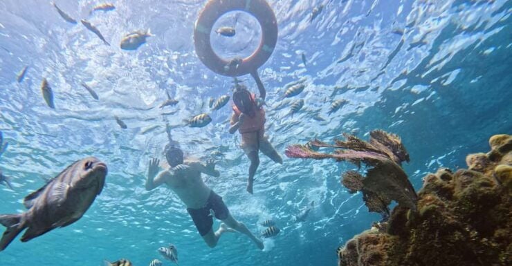 Private - Snorkel Along the Coast With Chivis Del Mar. - Good To Know