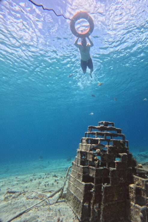 Private - Snorkel Along the Coast With Chivis Del Mar. - Itinerary and Experience
