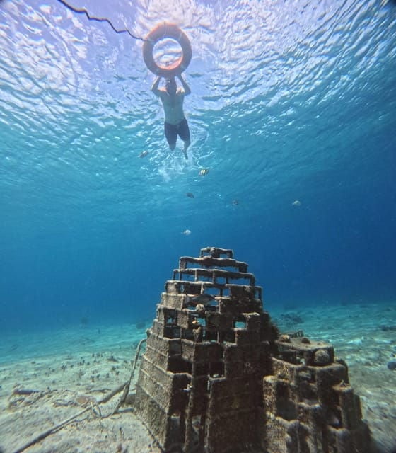 Private - Snorkel Along the Coast With Chivis Del Mar. - Inclusions and Amenities