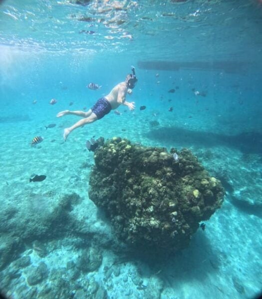 Private - Snorkel Along the Coast With Chivis Del Mar. - Tour Highlights