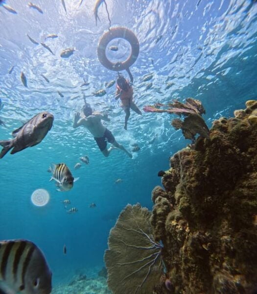 Private - Snorkel Along the Coast With Chivis Del Mar. - Frequently Asked Questions