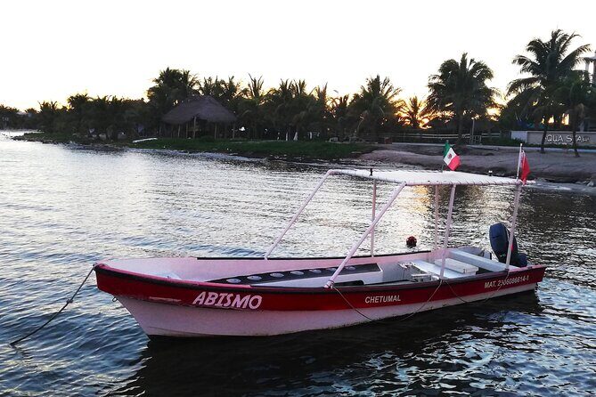 Private Snorkel Tour On The Reef Lagoon - FAQ