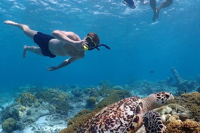 Private Snorkel Tour with Captain and Guide Bonaire Marine Park - In-Depth Look at the Tour Itinerary