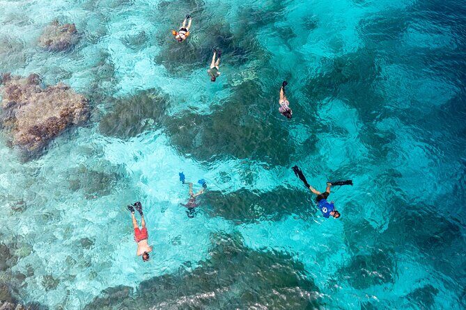 Private Snorkel Tour with Captain and Guide Bonaire Marine Park - The Value of a Private Tour