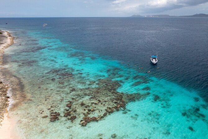 Private Snorkel Tour with Captain and Guide Bonaire Marine Park - The Sum Up
