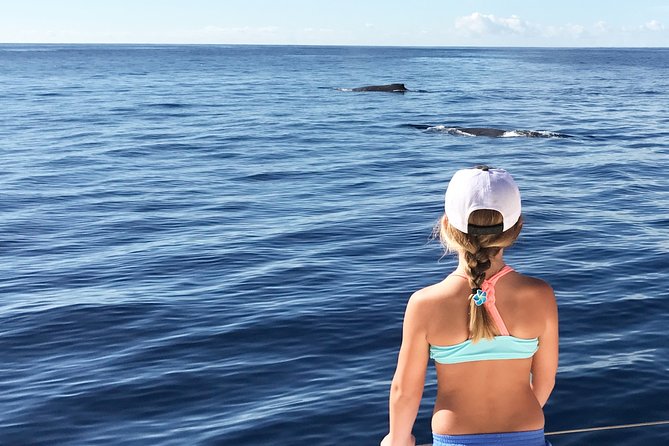 Private Snorkel Trip From Oahu on a Yacht - Important Information and Requirements