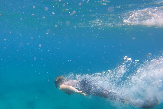 Private Snorkeling Adventure in Cabo San Lucas - Overview and Details