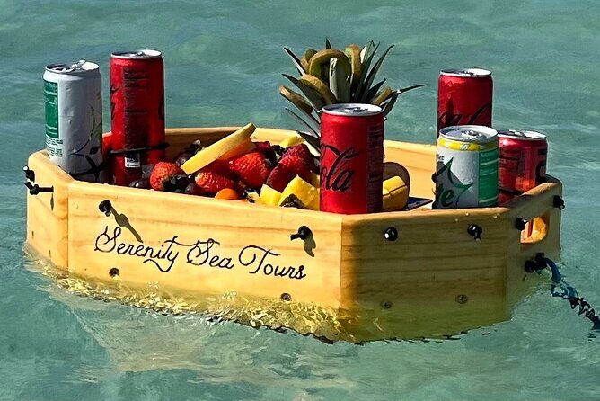 Private Snorkeling Adventure in Puerto Rico's Natural Reserve - Final Thoughts