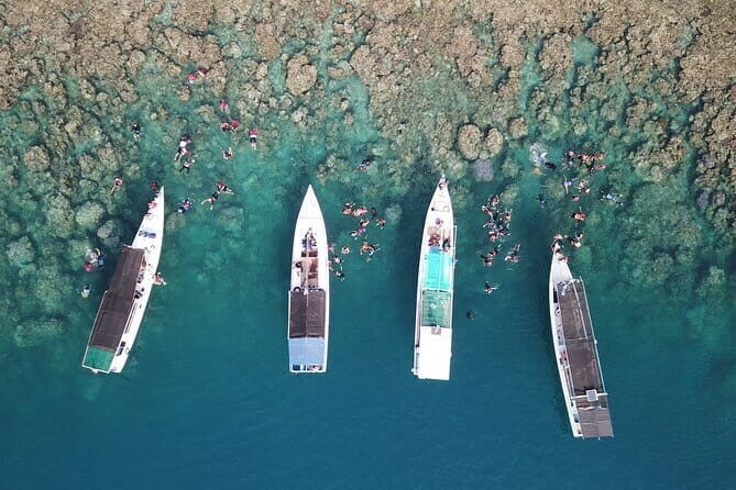 Private Snorkeling and Island Hopping Tour in Karimunjawa - An Introduction to the Tour: An Authentic Karimunjawa Adventure