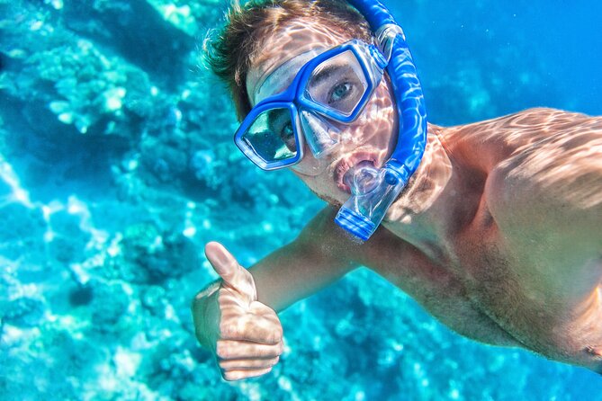 Private Snorkeling Boat Tour in San Jose Del Cabo - Good To Know