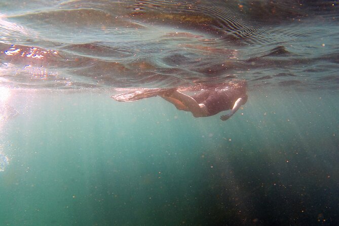 Private Snorkeling Boat Tour in San Jose Del Cabo - The Sum Up