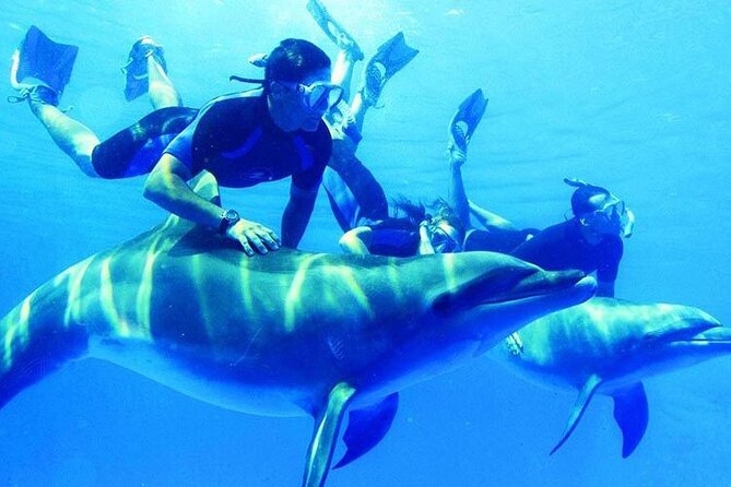 Private Snorkeling Day Trip With Paradise Island or Orange Bay - Trip Highlights