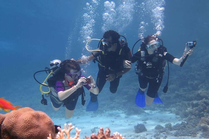 Private Snorkeling Day Trip With Paradise Island or Orange Bay - Snorkeling Locations