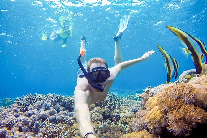 Private Snorkeling Enjoy the Amazing Manta Rays Nusa Penida - Customer Support and Assistance