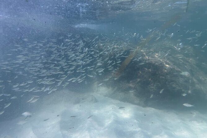 Private Snorkeling Excursion - Who Should Consider This Tour?