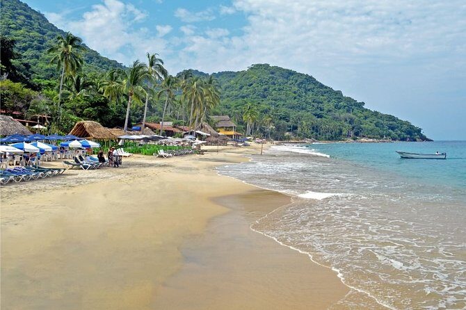 Private Snorkeling Experience and Boat tour to Las Animas Beach - What to Expect from the Tour  