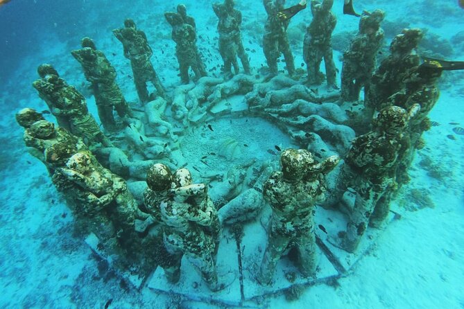 Private Snorkeling Experience in Gili Trawangan - Tour Information and Logistics
