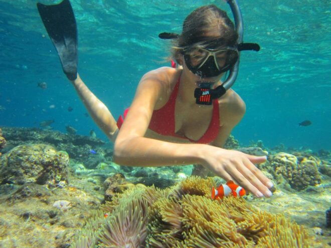 Private Snorkeling Family or Group at Menjangan Island - Inclusions