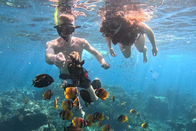 Private Snorkeling from Nusa Penida - Good To Know