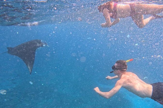 Private Snorkeling from Nusa Penida - Who Will Love This Tour?