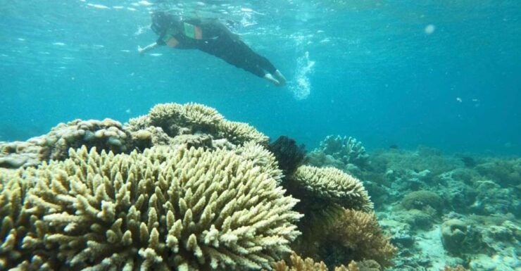 Private Snorkeling Gili Gede, Gili Asahan, Gili Goleng Tour - Booking Information