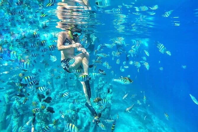 Private Snorkeling Gili Island Including GoPro Camera - Practical Considerations and Tips
