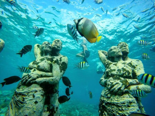 Private Snorkeling Gili Islands Full Day Tour - Inclusions and Exclusions