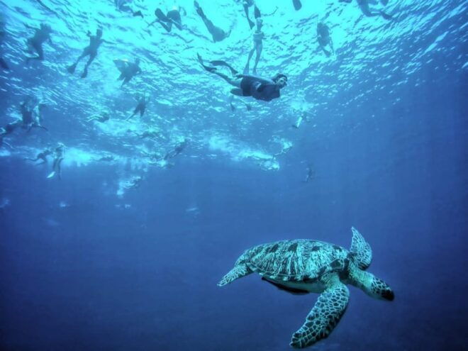 Private Snorkeling Gili Islands Full Day Tour - Safety Guidelines