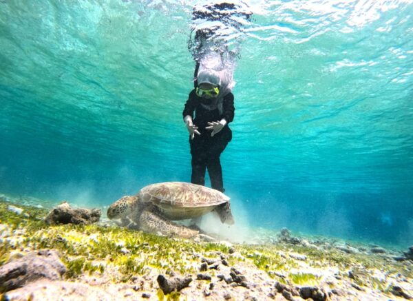 Private Snorkeling Gili Islands Full Day Tour - Customer Reviews
