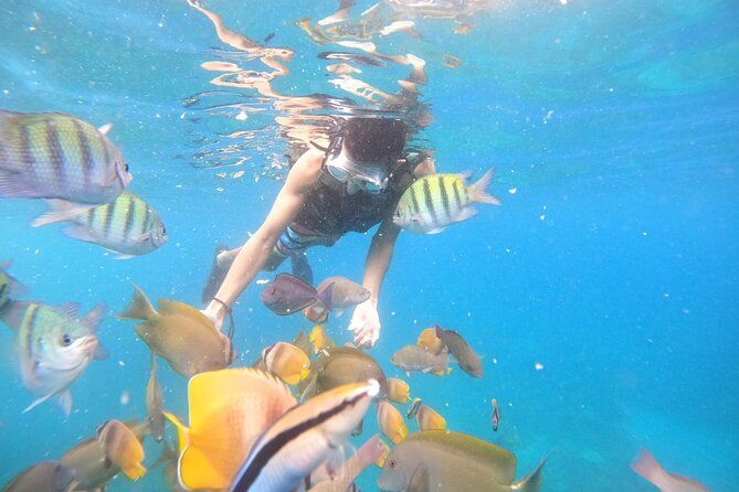 Private Snorkeling in Manta, Gamat & Crystal Bay at Nusa Penida - Snorkeling Locations at Nusa Penida