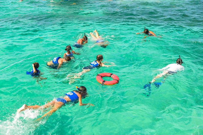 Private Snorkeling in Punta Cana - Reviews and Pricing