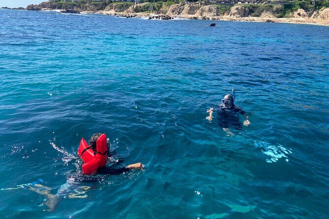 Private Snorkeling In San Jose Del Cabo Lunch, Drinks, Snack - Who Would Love This Tour?