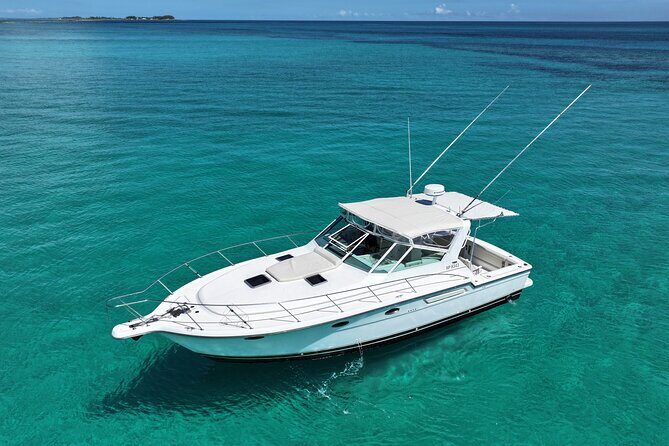 Private Snorkeling or Fishing Charter in Nassau - 38ft Free Time - Good To Know