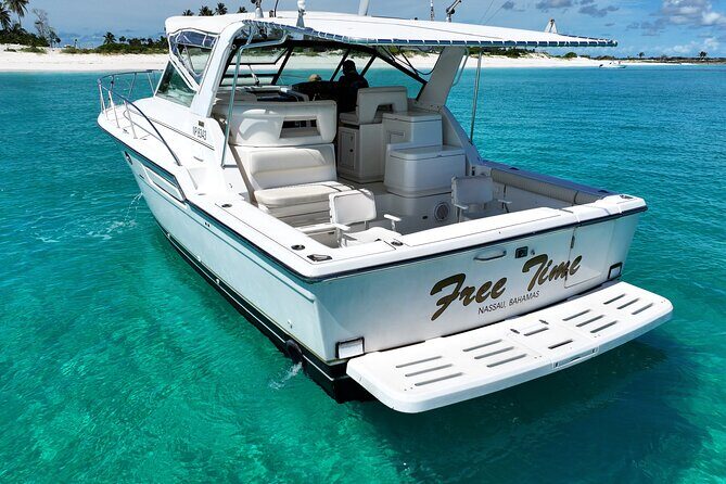 Private Snorkeling or Fishing Charter in Nassau - 38ft Free Time - The Sum Up: Is This Tour Right for You?