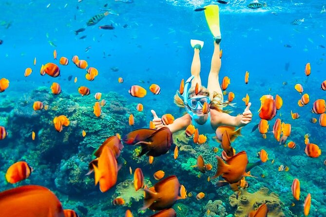 Private Snorkeling Speed Boat in Nemo Island From Hurghada - Booking Instructions