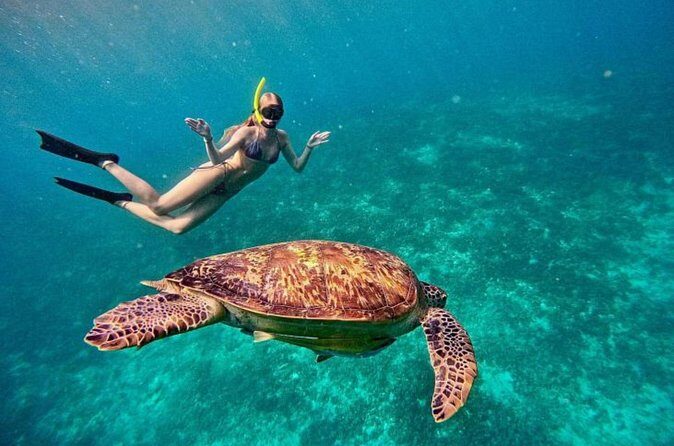 Private Snorkeling Start Gili Meno and Explore 4 Spots with GoPro - Practicalities: What the Tour Includes