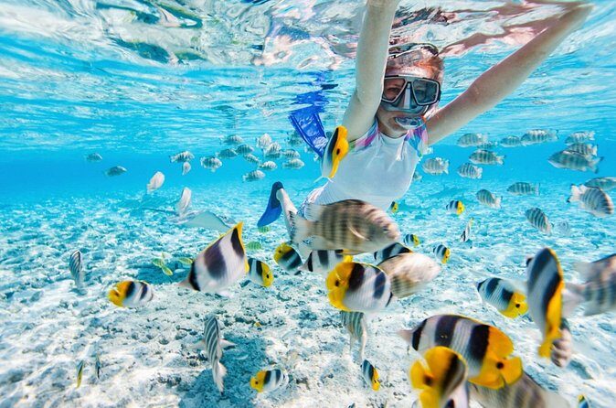 Private Snorkeling Start Gili Meno and Explore 4 Spots with GoPro - Who Should Book This Tour?