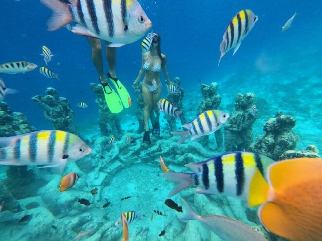 Private Snorkeling Tour 3 Islands With Gopro - Tips for a Great Tour