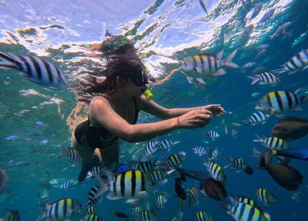 PRIVATE SNORKELING TOUR GILI TRAWANGAN+GILI MENO+GILI AIR - Questions You May Have