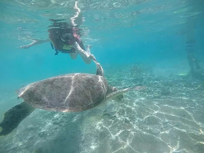 Private Snorkeling Tour GoPro Footage Costumize Tour - Final Thoughts: Who Is This Tour Best For?